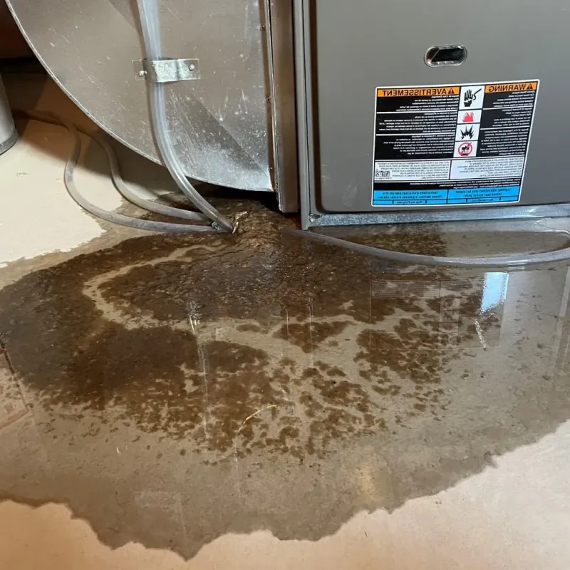 Pipe Burst and Leak Restoration in Horse Cave, KY