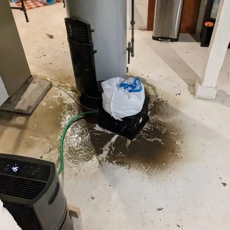 Sewage Backup Cleanup Service in Horse Cave, KY